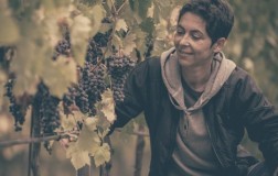 Campodora 2015, Albana agile e tipica
