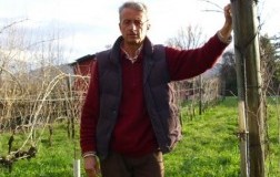 Canaiolo 