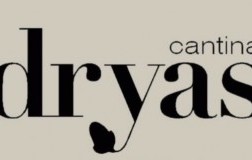 cantina dryas logo