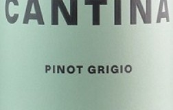Cantina Puiatti Friuli Pinot Grigio