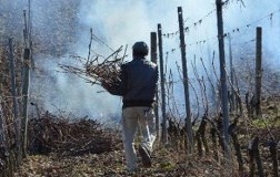 Messer Oto, Aglianico del Vulture da bere a secchi