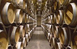 Sassicaia (3), lo spartiacque