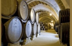 Cantine Florio 2 - Duca di Salaparuta