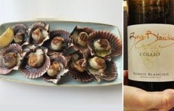capesante alla brace e collio bianco ronco blanchis