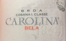 Jakoncic carolina bela