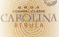Jakoncic carolina rebula