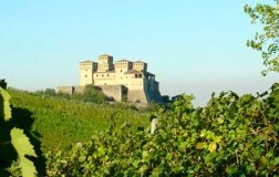 Torcularia, il lambrusco di Carra di Casatico