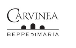 Carvinea logo