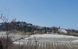 casa alle vacche vernaccia di san gimignano vino bianco toscana cantina panorama