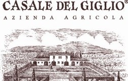Casale del Giglio logo