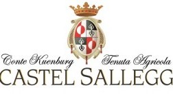 Castel Sallegg cantina vini Alto Adige logo