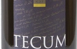 Castelfeder Alto Adige Riserva Pinot Bianco Tecum