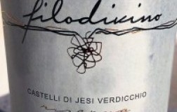Filodivino Castelli di Jesi Classico Dino Riserva 2015