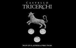 Castello Tricerchi Montalcino logo
