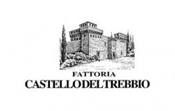 Castello-del-Trebbio.jpg