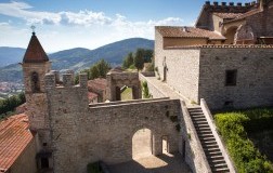 Castello di Nipozzano, Chianti Rufina Nipozzano Riserva 2013