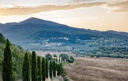 Castello del Terriccio panorama