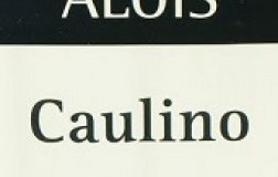 Caulino-Falanghina-2016.jpg