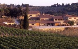 Cabernet Sauvignon Collezione De Marchi, il SuperCab (1)