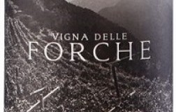 Cembra Cantina di Montagna Trentino Müller Thurgau Vigna delle Forche