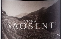 Cembra Cantina di Montagna Trentino Pinot Nero Vigna Saosent 2016