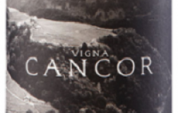 Cembre Cantina di Montagna Riesling Vigna Cancor 2017