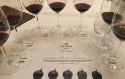 Cesari, 80 anni di crescita