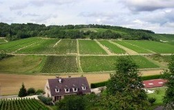 Chablis vigneti panorama