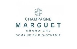 champagne marguet logo