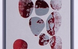 Nittardi Chianti Classico Belcanto 2021