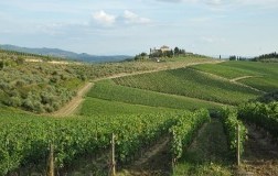 Paesaggio del Chianti Classico