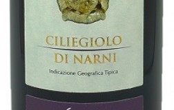 Ciliegiolo-di-Narni-2015.jpg