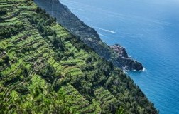 Cinque Terre