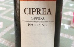 Ciprea-2015.jpg