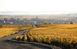 Clos Saint Jacques