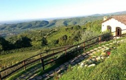 Coffele. Fragrante e Soave