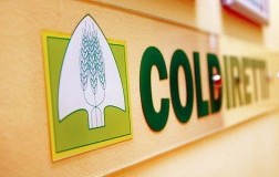 Coldiretti: Vinitaly a giugno
