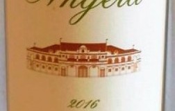 il pollenza angera colli maceratesi ribona doc vino bianco marche
