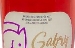 Viticoltori Lenza Colli di Salerno Rosato Frizzante Gabry 2019