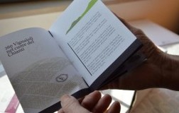 Colline del Chianti Cantina Sociale Brochure