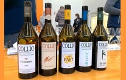 Collio Doc varietà autoctone