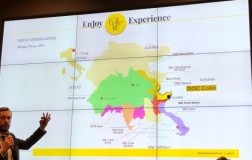 Il Collio a Roma
