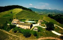 Colpaola, una novità da Matelica