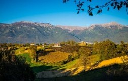 Cominium azienda vinicola  vigneti Val Comino Lazio