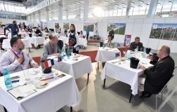 Il Concorso Mondiale dei Vini di Bruxelles a Brno