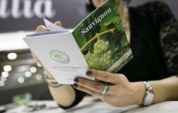 Concours Mondial de Sauvignon 2016, i premiati italiani
