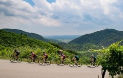 Conegliano-Valdobbiadene-experience, bike-tour
