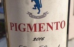 Conte Leopardi Dittajuti Conero Pigmento Riserva 2016