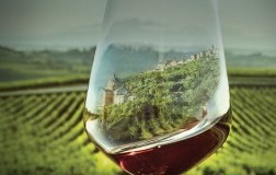 Consorzio Vino Nobile di Montepulciano