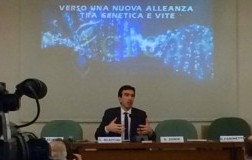 convegno ministro martina cisgenetica editoriale daniele cernilli firmato doctorwine